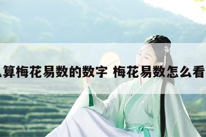 怎么算梅花易数的数字 梅花易数怎么看数字