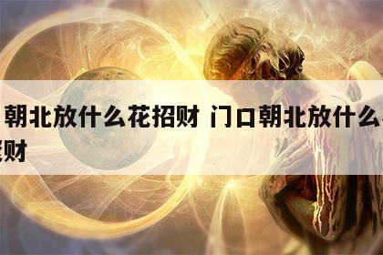 门口朝北放什么花招财 门口朝北放什么花招财聚财