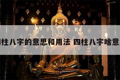 四柱八字的意思和用法 四柱八字啥意思