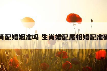 生肖配婚姻准吗 生肖婚配属相婚配准确吗