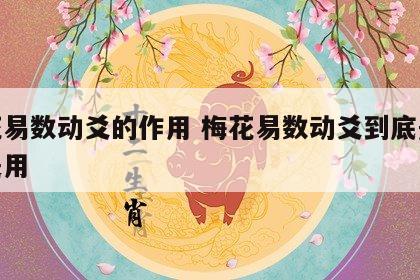 梅花易数动爻的作用 梅花易数动爻到底是体还是用