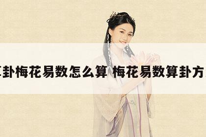 算卦梅花易数怎么算 梅花易数算卦方法