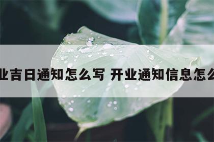 开业吉日通知怎么写 开业通知信息怎么写