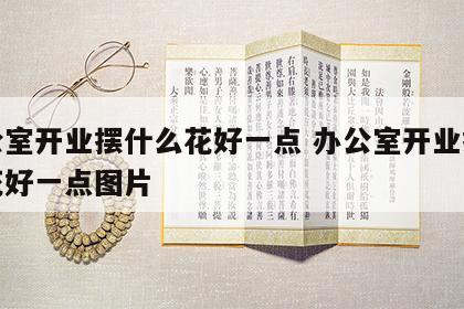 办公室开业摆什么花好一点 办公室开业摆什么花好一点图片