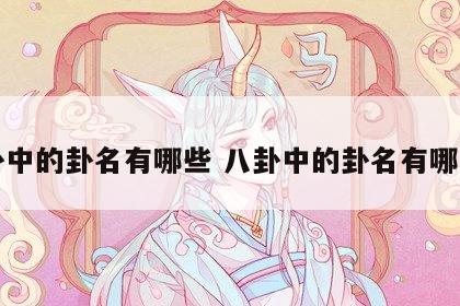 八卦中的卦名有哪些 八卦中的卦名有哪些呢