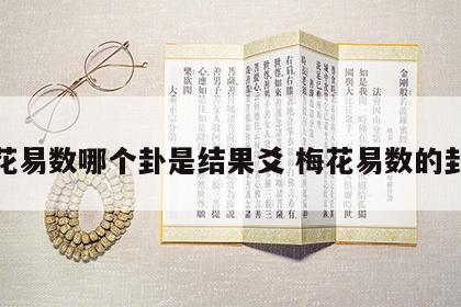 梅花易数哪个卦是结果爻 梅花易数的卦辞