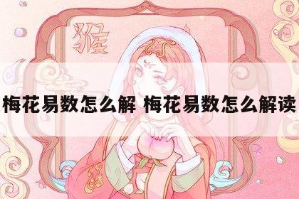 梅花易数怎么解 梅花易数怎么解读