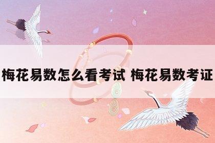 梅花易数怎么看考试 梅花易数考证