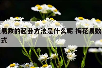 梅花易数的起卦方法是什么呢 梅花易数的起卦方式