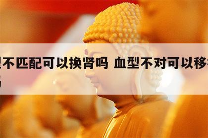 血型不匹配可以换肾吗 血型不对可以移植肾脏吗