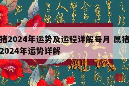 属猪2024年运势及运程详解每月 属猪运势2024年运势详解
