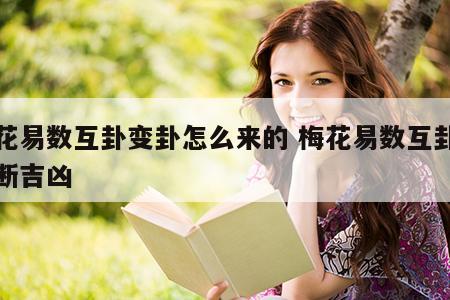 梅花易数互卦变卦怎么来的 梅花易数互卦怎么断吉凶