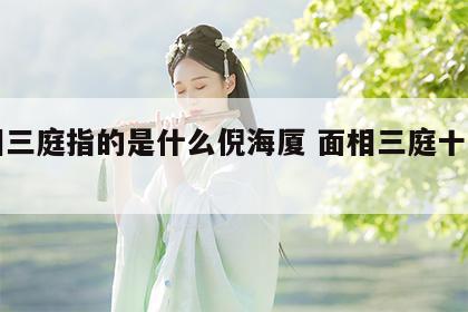 面相三庭指的是什么倪海厦 面相三庭十二宫图