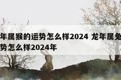 龙年属猴的运势怎么样2024 龙年属兔的运势怎么样2024年
