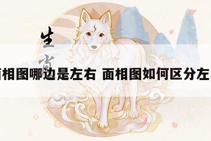 面相图哪边是左右 面相图如何区分左右