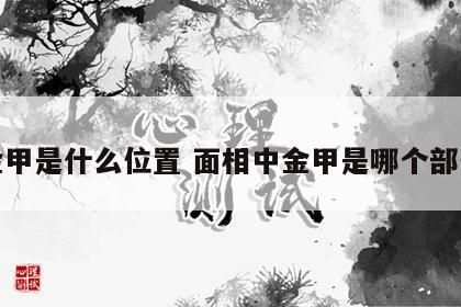 金甲是什么位置 面相中金甲是哪个部位