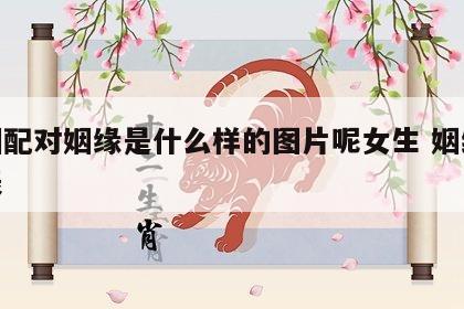 婚姻配对姻缘是什么样的图片呢女生 姻缘婚配表