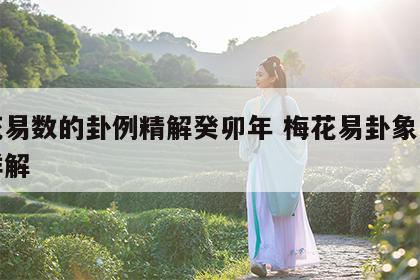 梅花易数的卦例精解癸卯年 梅花易卦象与风水详解