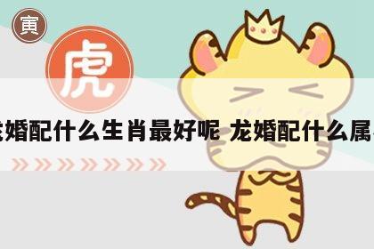 龙婚配什么生肖最好呢 龙婚配什么属相