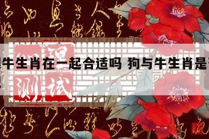 狗跟牛生肖在一起合适吗 狗与牛生肖是否合婚配