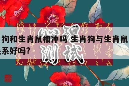生肖狗和生肖鼠相冲吗 生肖狗与生肖鼠两人的关系好吗?