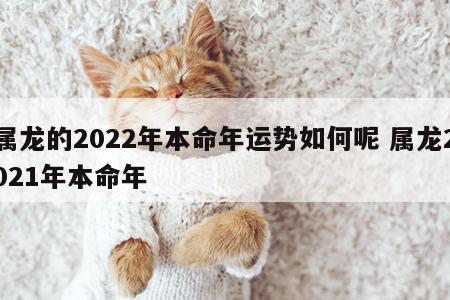 属龙的2022年本命年运势如何呢 属龙2021年本命年