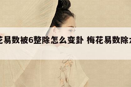 梅花易数被6整除怎么变卦 梅花易数除六为整
