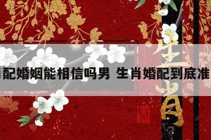 生肖配婚姻能相信吗男 生肖婚配到底准不准