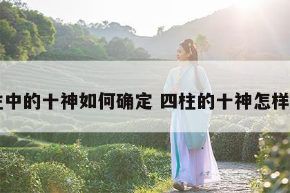 四柱中的十神如何确定 四柱的十神怎样运用