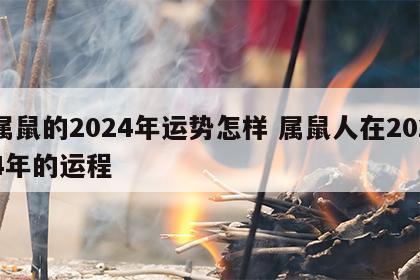 属鼠的2024年运势怎样 属鼠人在2024年的运程