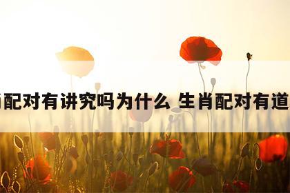 生肖配对有讲究吗为什么 生肖配对有道理吗