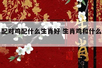 生肖配对鸡配什么生肖好 生肖鸡和什么生肖配?
