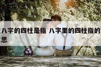 四柱八字的四柱是指 八字里的四柱指的是什么意思