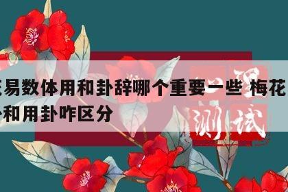 梅花易数体用和卦辞哪个重要一些 梅花易数体卦和用卦咋区分
