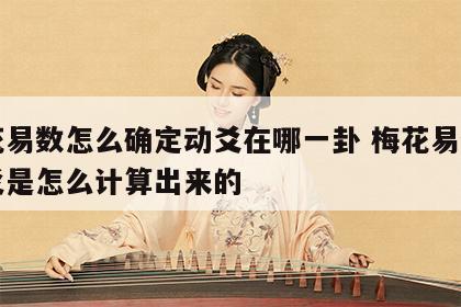 梅花易数怎么确定动爻在哪一卦 梅花易数中动爻是怎么计算出来的