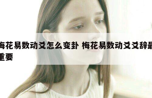 梅花易数动爻怎么变卦 梅花易数动爻爻辞最重要