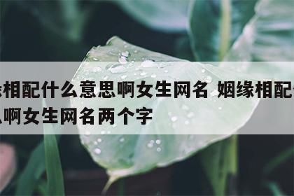 姻缘相配什么意思啊女生网名 姻缘相配什么意思啊女生网名两个字