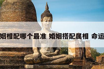 婚姻相配哪个最准 婚姻搭配属相 命运表