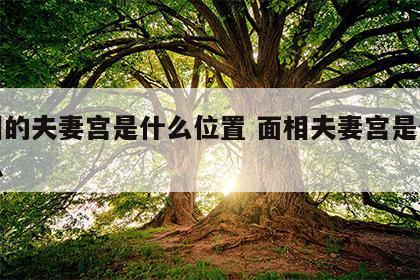 面相的夫妻宫是什么位置 面相夫妻宫是什么意思