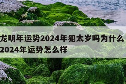 属龙明年运势2024年犯太岁吗为什么 属龙2024年运势怎么样