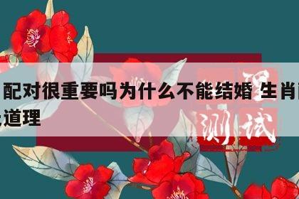 生肖配对很重要吗为什么不能结婚 生肖配对有无道理
