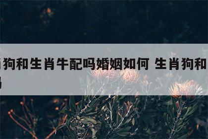 生肖狗和生肖牛配吗婚姻如何 生肖狗和牛相配吗