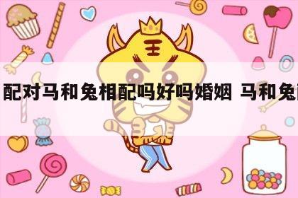 生肖配对马和兔相配吗好吗婚姻 马和兔配吗?