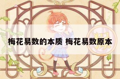 梅花易数的本质 梅花易数原本