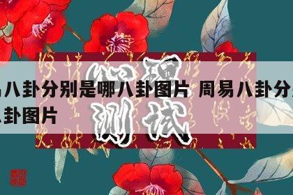 周易八卦分别是哪八卦图片 周易八卦分别是哪八卦图片