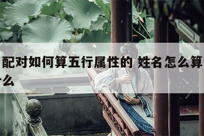 姓名配对如何算五行属性的 姓名怎么算五行属什么