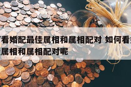 如何看婚配最佳属相和属相配对 如何看婚配最佳属相和属相配对呢