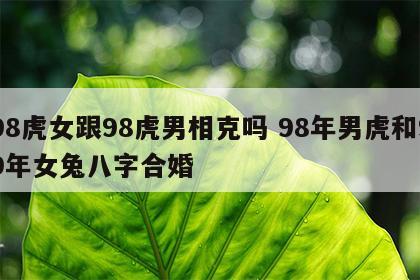 98虎女跟98虎男相克吗 98年男虎和99年女兔八字合婚