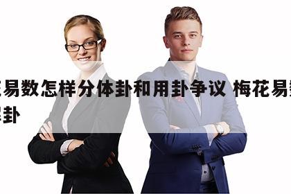 梅花易数怎样分体卦和用卦争议 梅花易数体用解卦