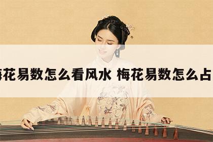 梅花易数怎么看风水 梅花易数怎么占卜